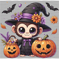 Halloween-WS 5764